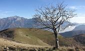 MONTE SAN PRIMO - Sabato 21 Novembre 2009 -  FOTOGALLERY